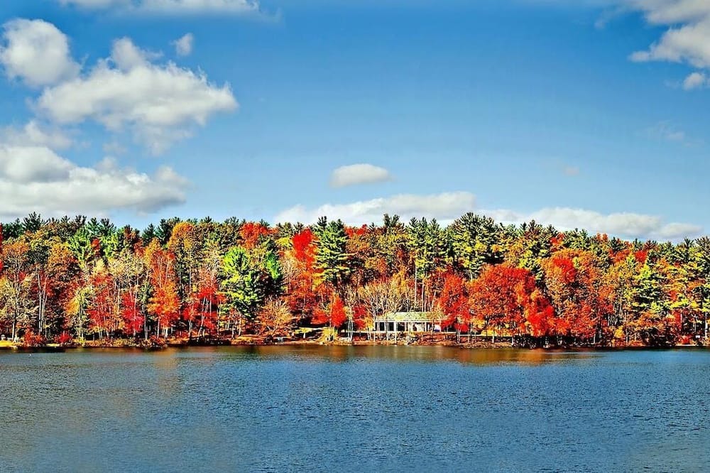 Photo of Others in Hollis