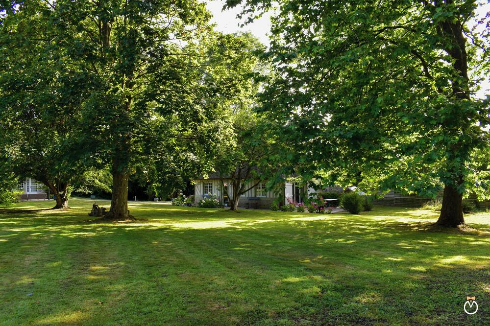 Photo of Outdoor in La Riviere-Saint-Sauveur
