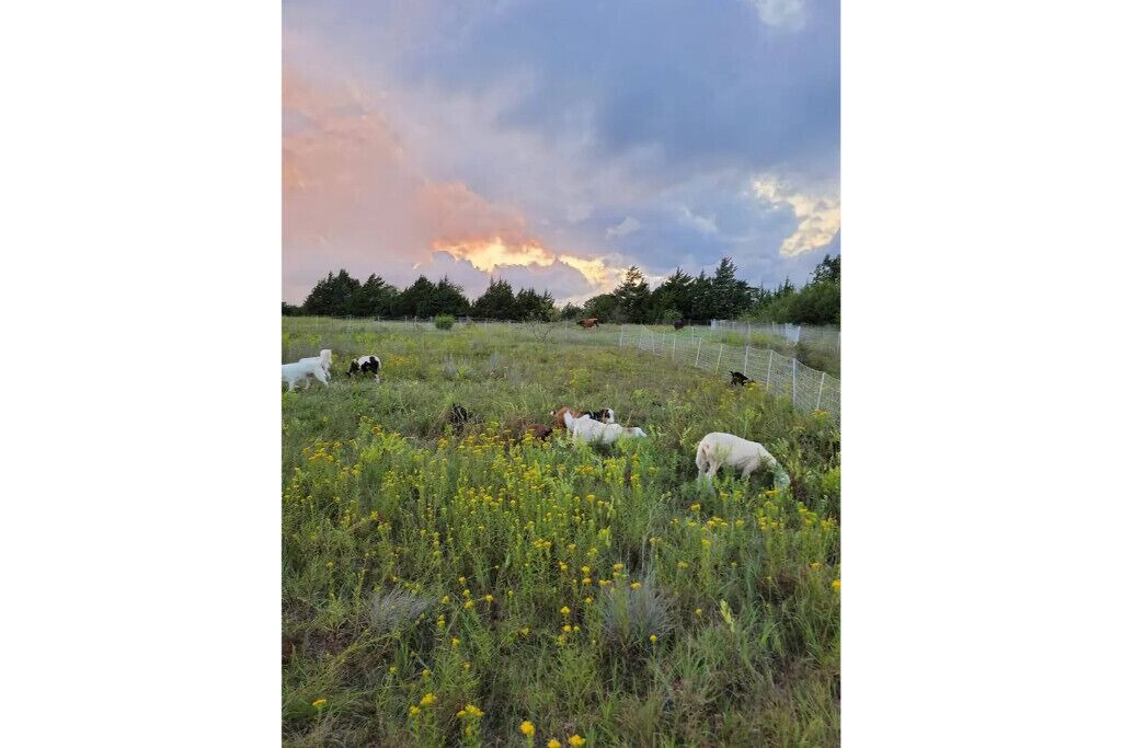 Photo of Outdoor in Sunset