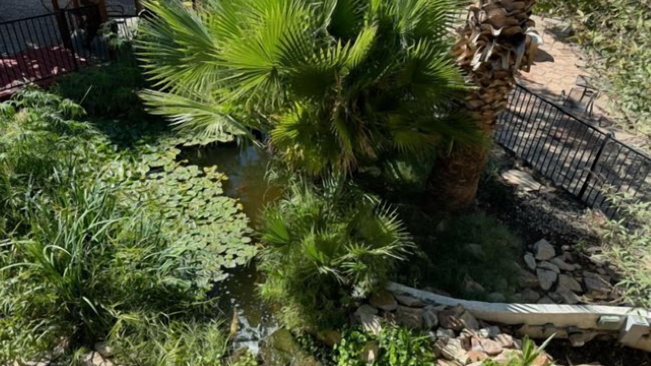 Photo of Outdoor in Las Cruces
