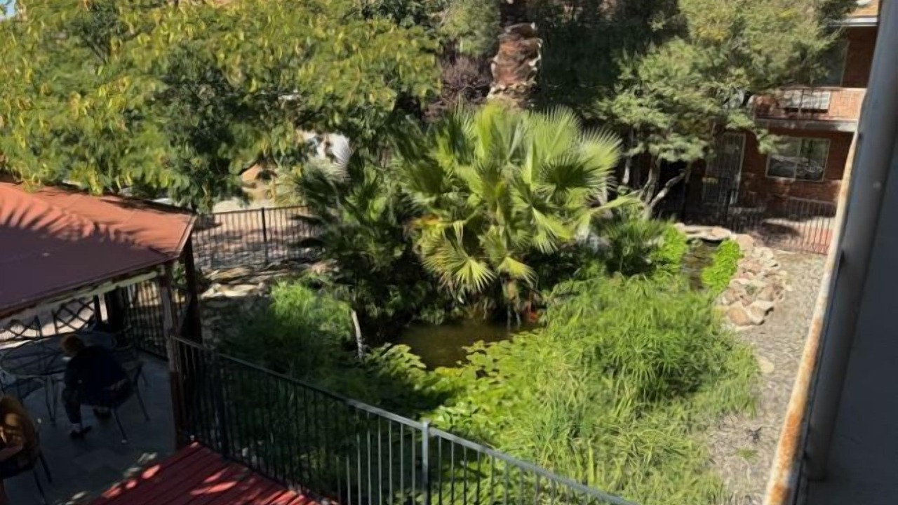 Photo of Outdoor in Las Cruces