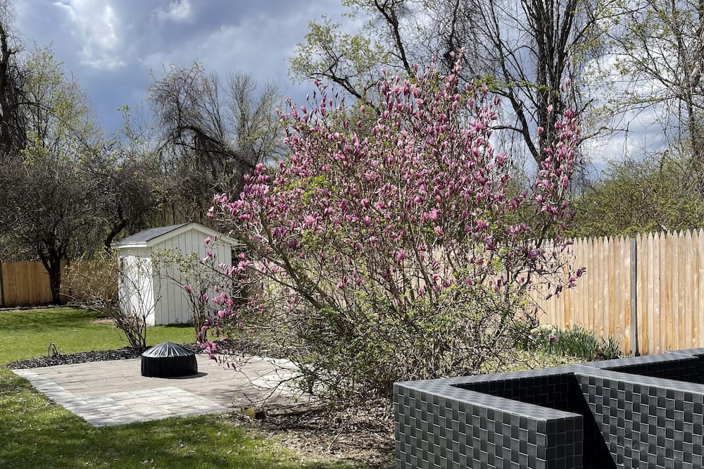 Photo of Outdoor in Lowell