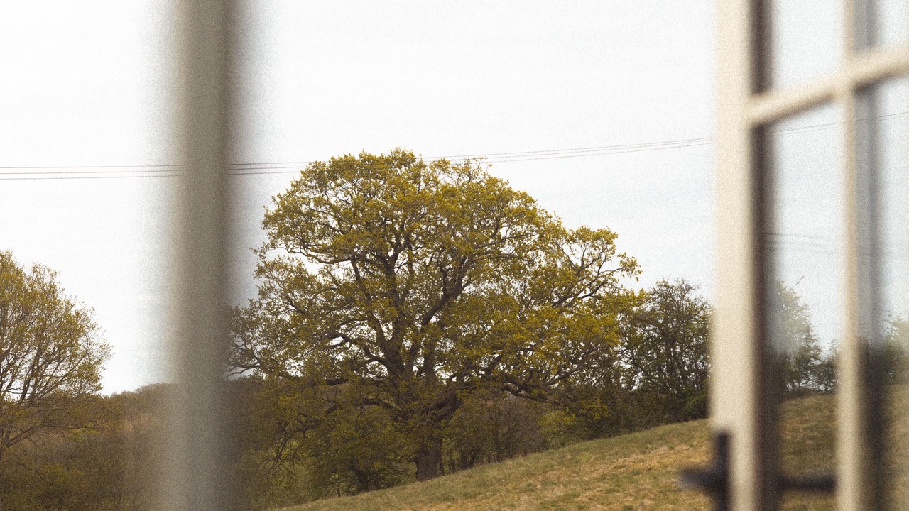 Photo of Others in Bilsington