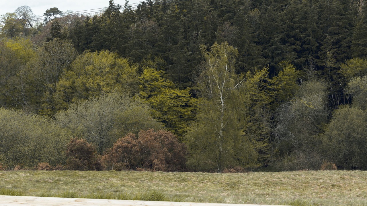 Photo of Others in Bilsington