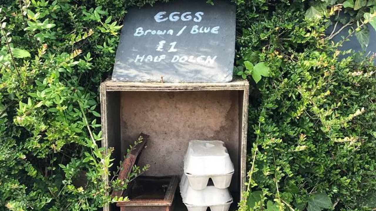 Photo of Others in Bilsington