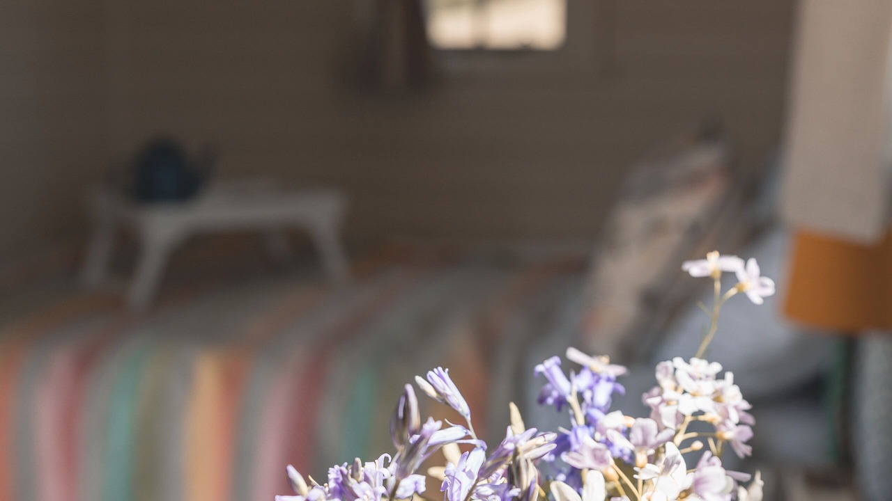 Photo of Others in Bilsington