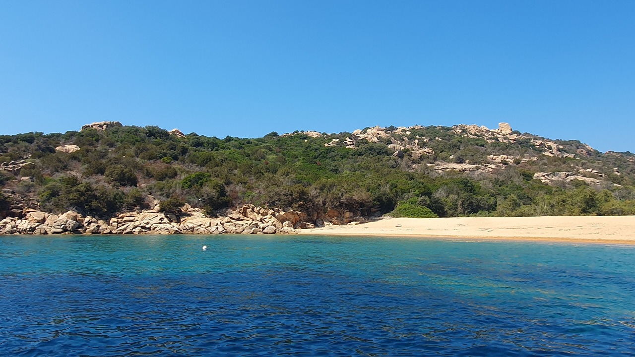 Photo of Others in Tizzano