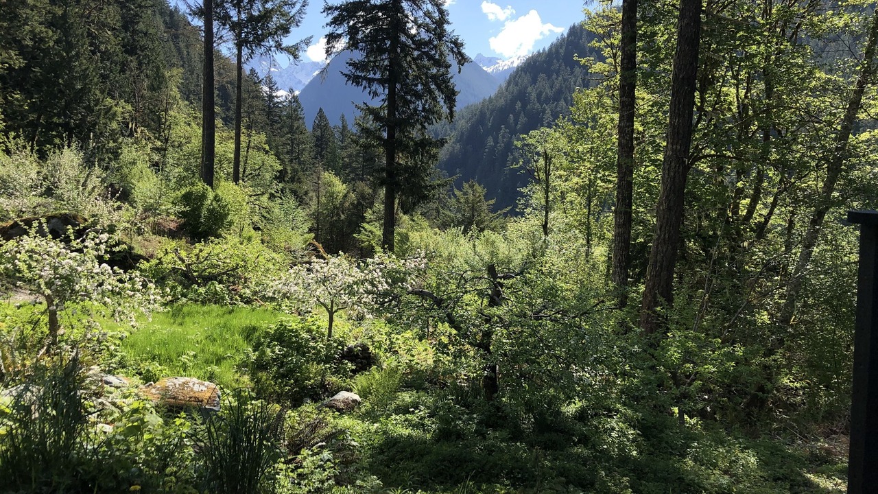 Photo of Others in Marblemount