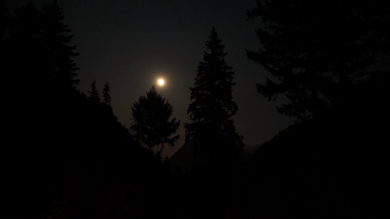 Photo of Outdoor in Marblemount