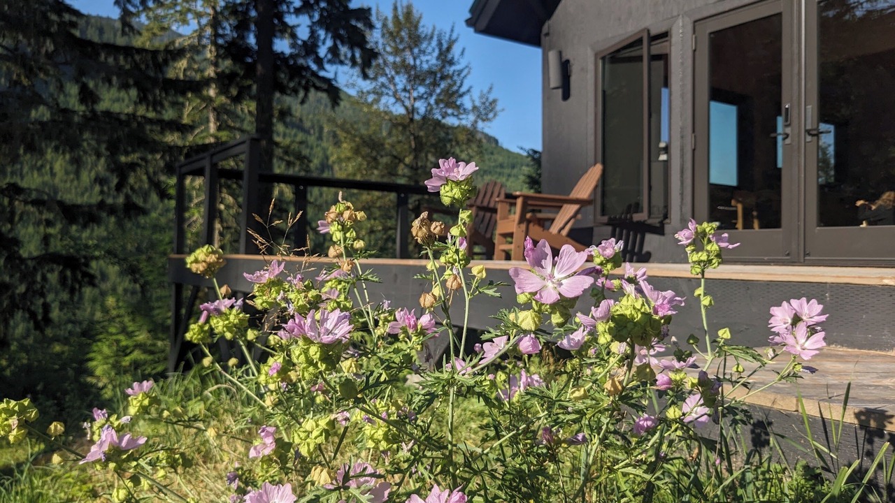 Photo of Outdoor in Marblemount