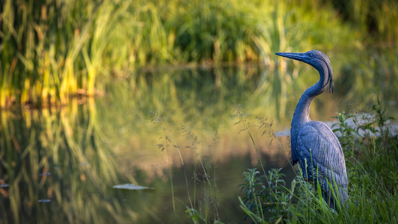 Photo of Outdoor in Pont-du-Navoy