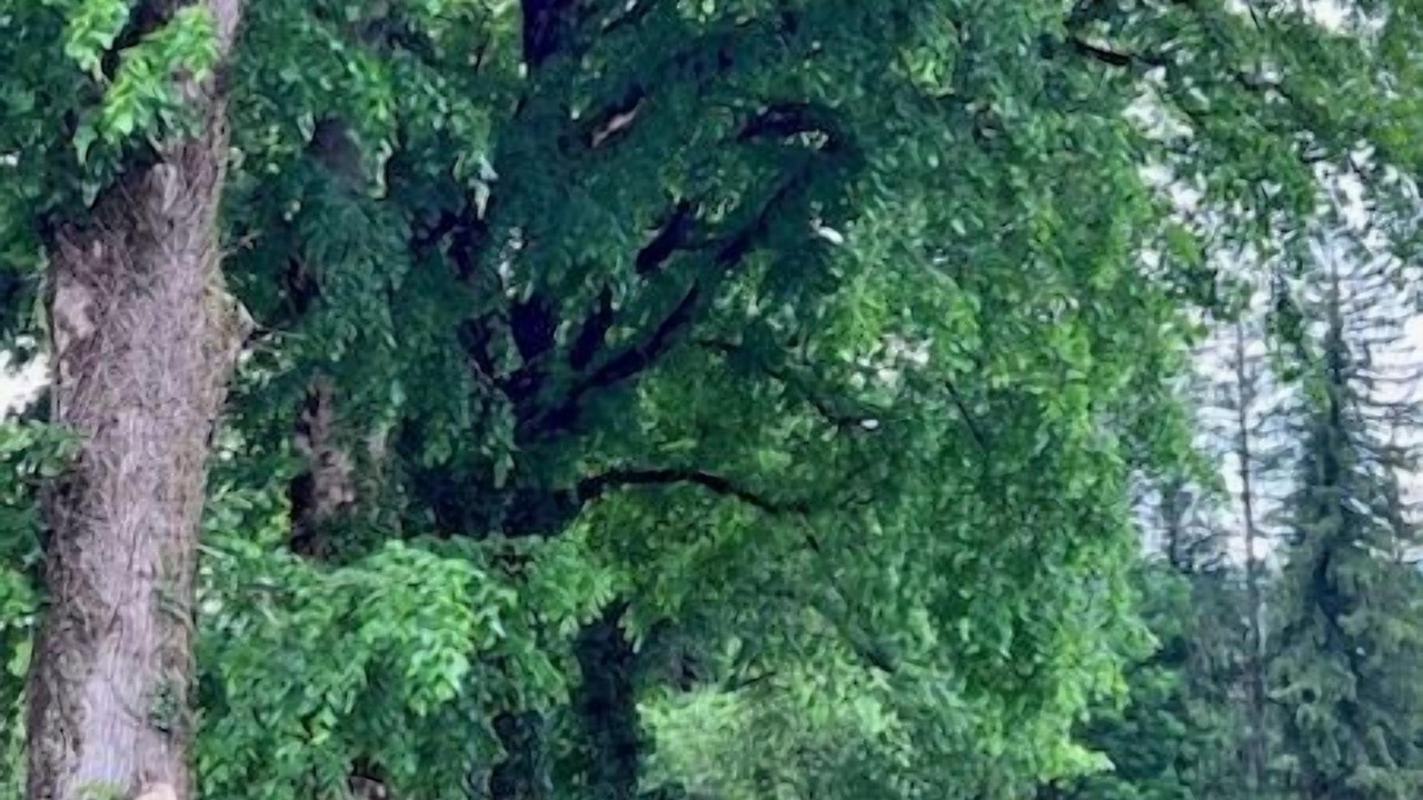 Photo of Outdoor in Pont-du-Navoy