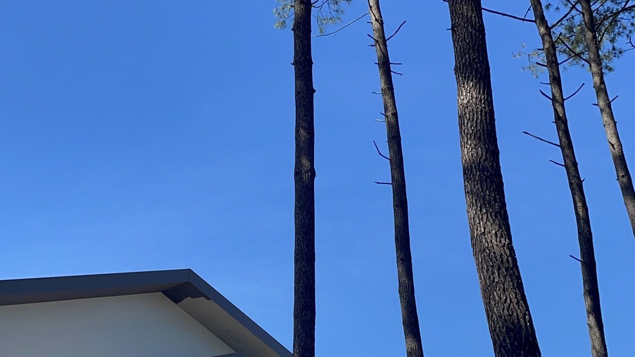 Photo of Outdoor in Castets