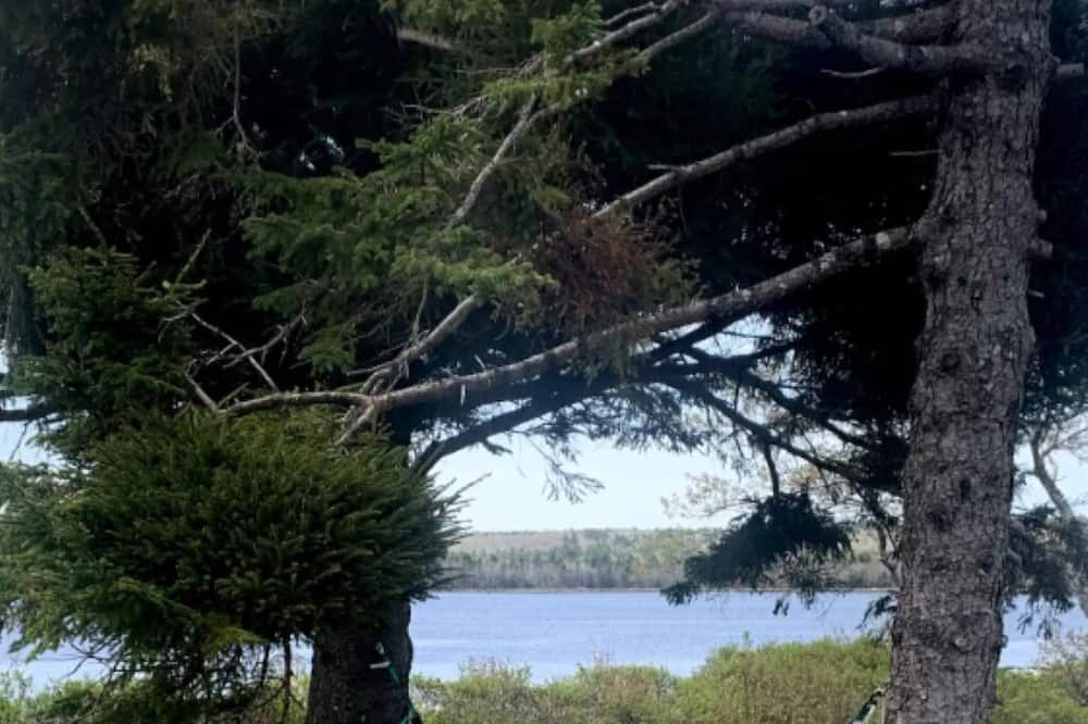 Photo of Outdoor in Ragged Island