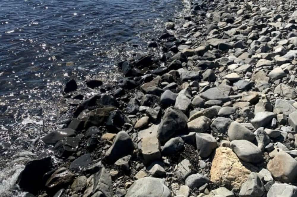 Photo of Others in Ragged Island