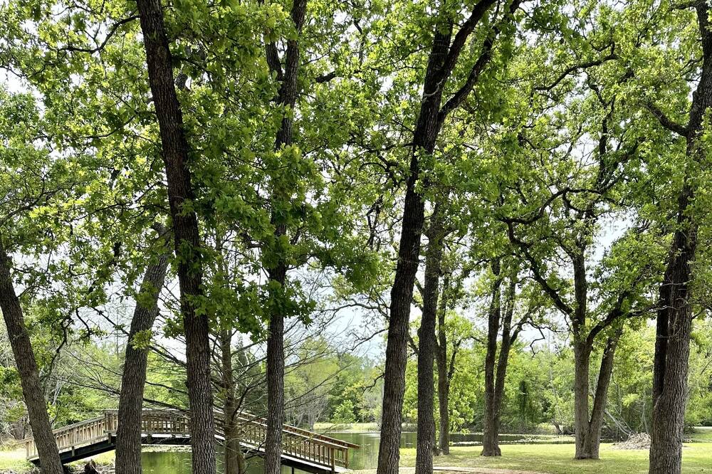 Photo of Others in College Station