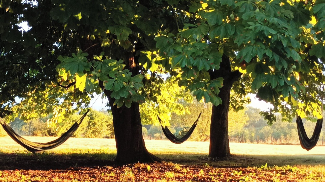 Photo of Outdoor in Servignat