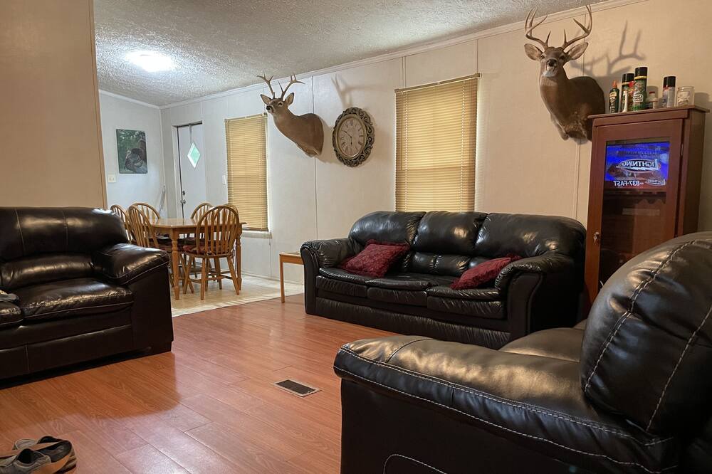 Photo of Livingroom in Mc Adams