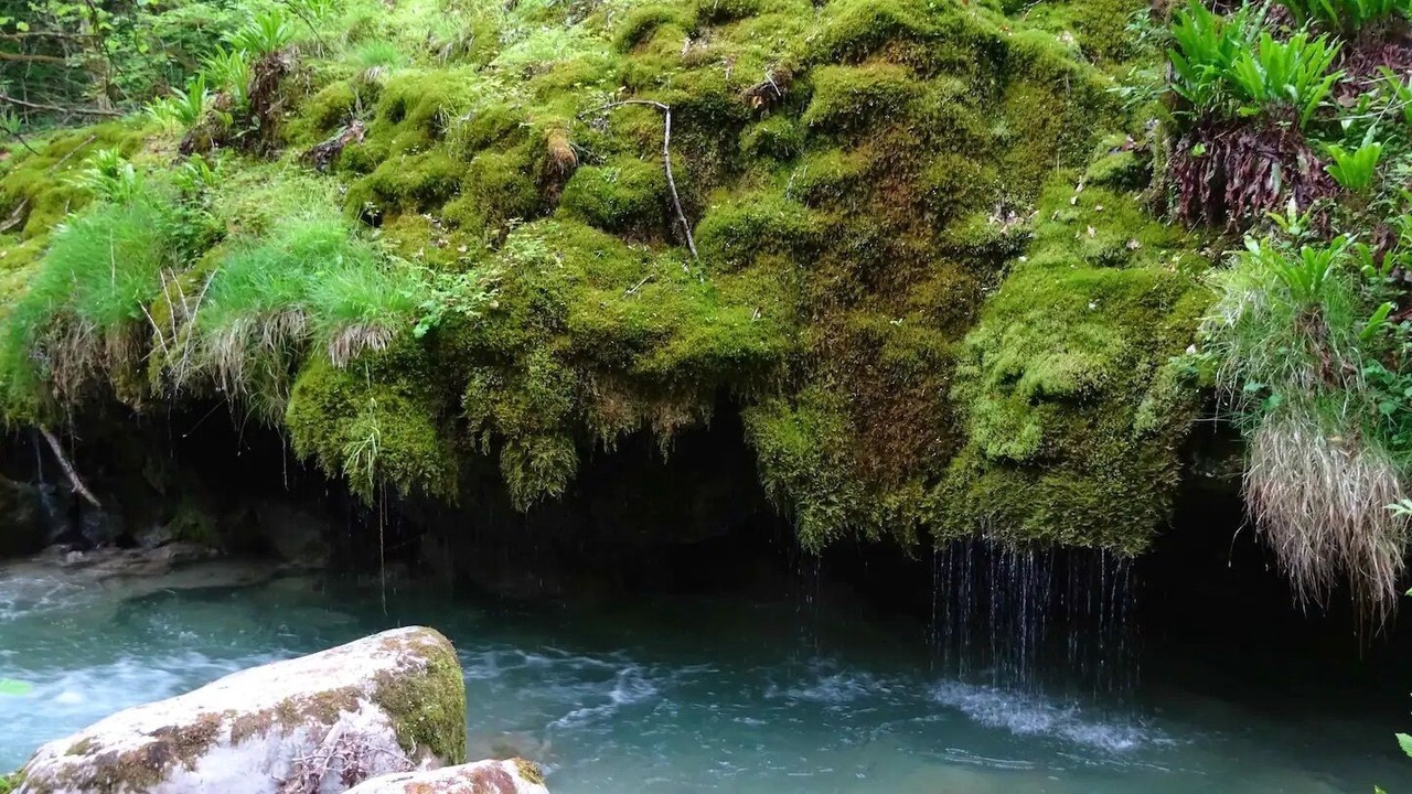 Photo of Others in Quaix-en-Chartreuse