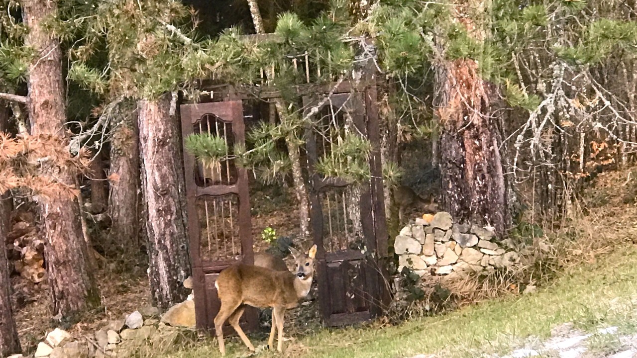 Photo of Outdoor in Quaix-en-Chartreuse