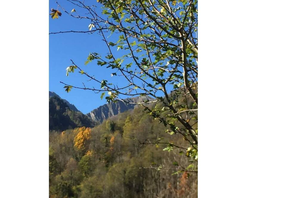 Photo of Others in Cauterets