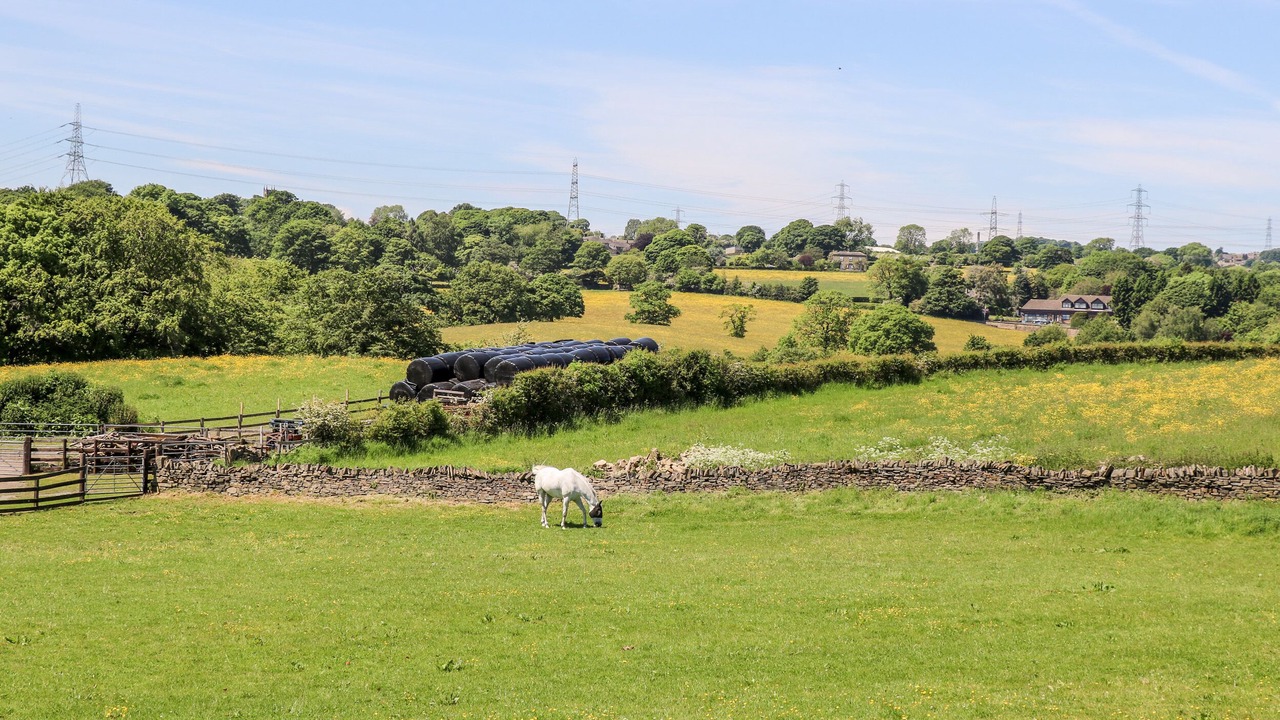 Photo of Others in Rastrick