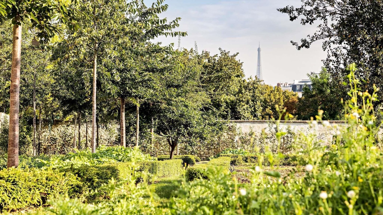 Photo of Outdoor in Issy-les-Moulineaux