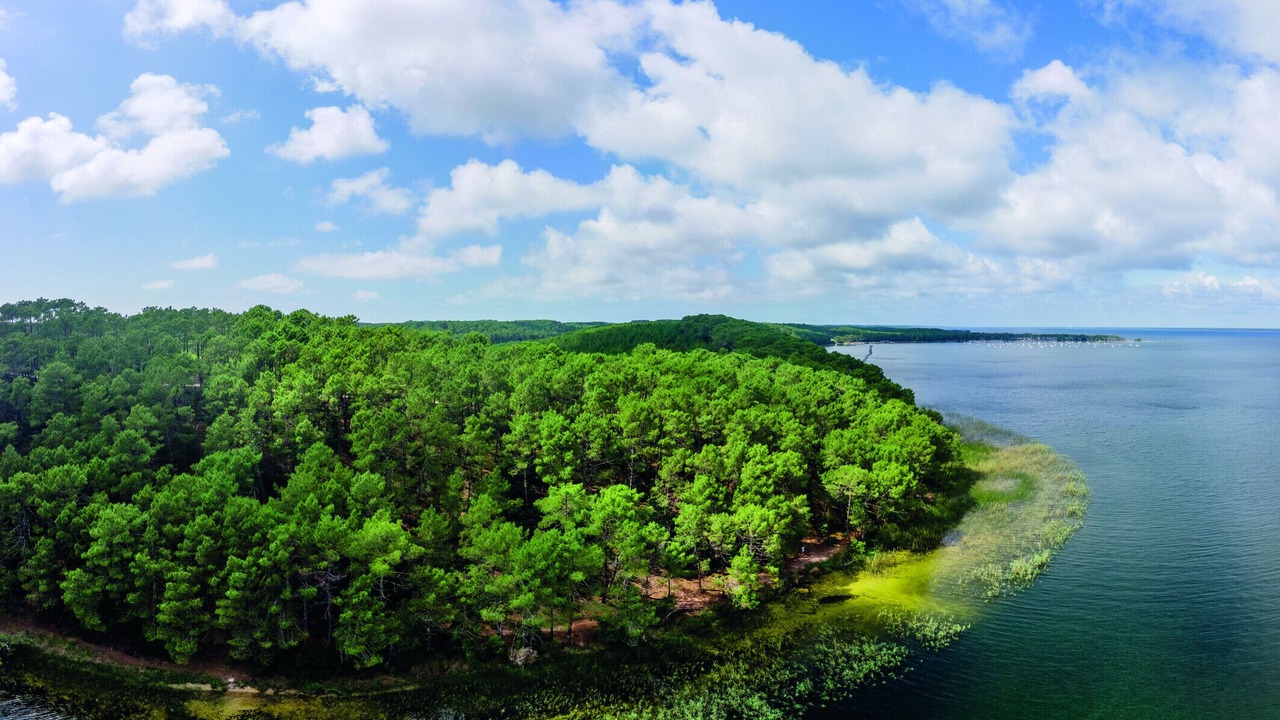 Photo of Outdoor in Maubuisson