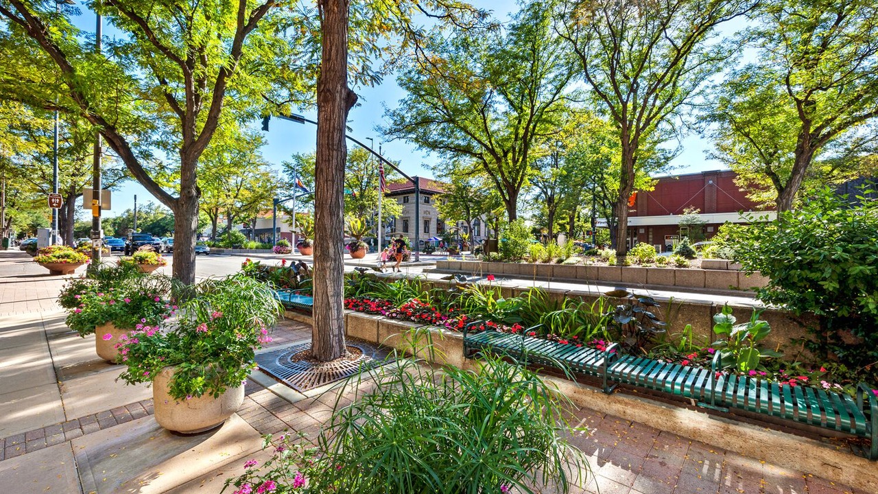 Photo of Outdoor in Old Town North