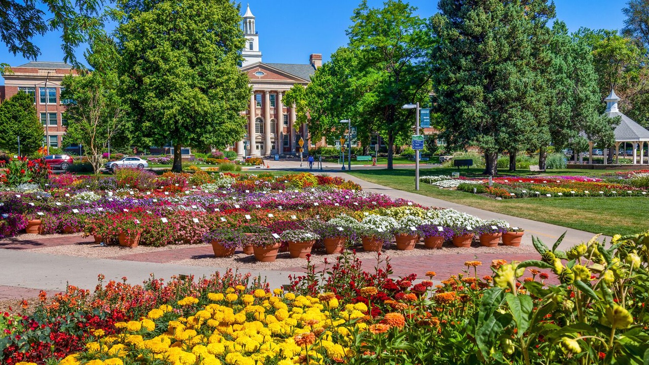 Photo of Outdoor in Old Town North