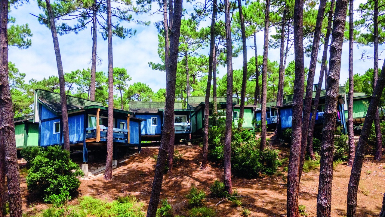 Photo of Outdoor in Carcans