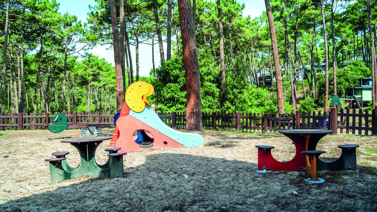 Photo of Outdoor in Carcans