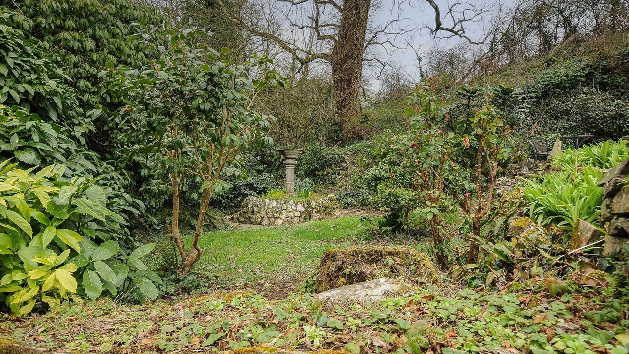 Photo of Outdoor in Saint Kew