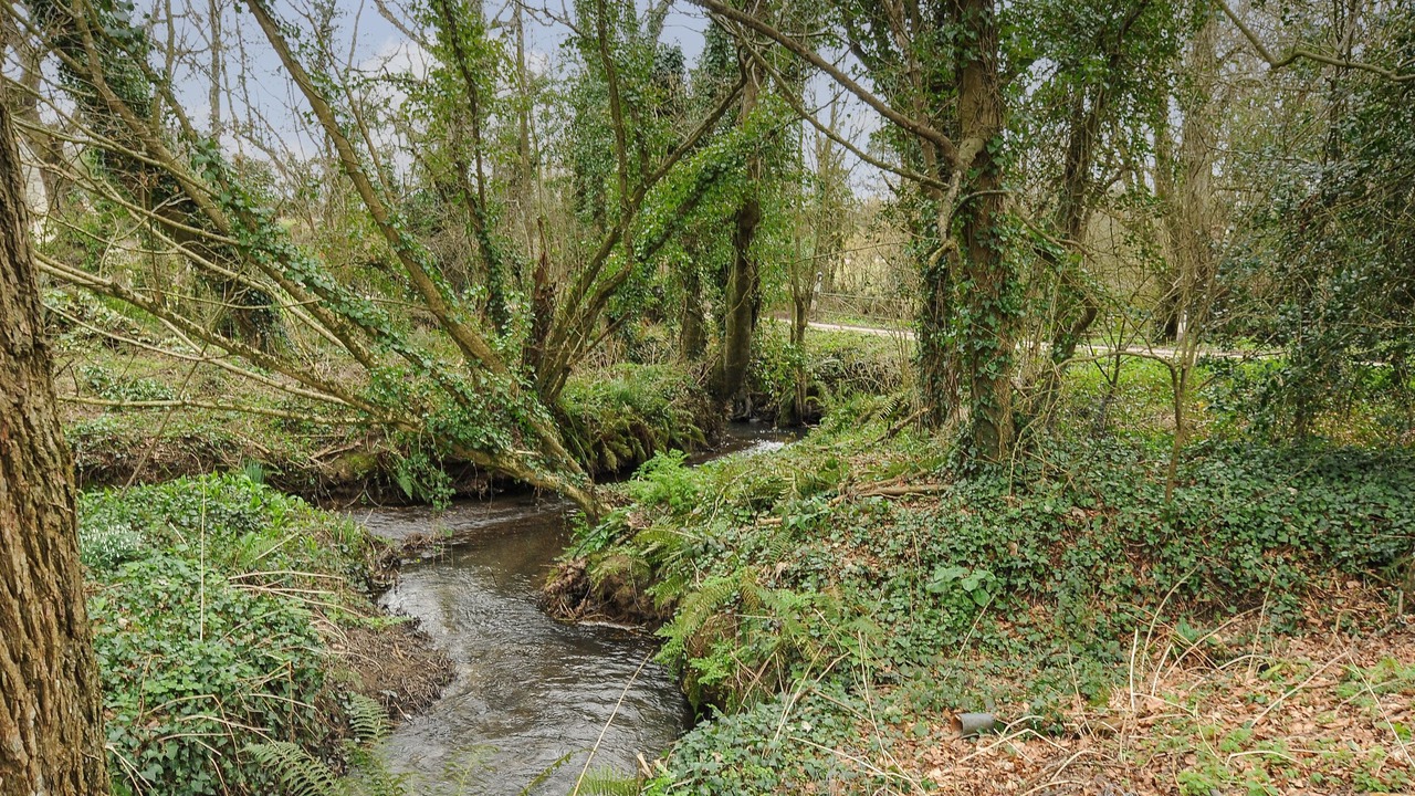 Photo of Outdoor in Saint Kew