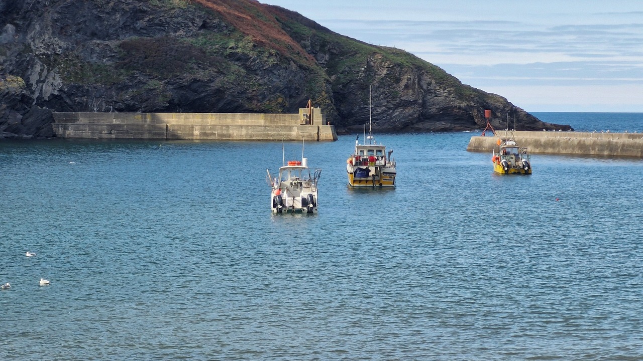 Photo of Others in Saint Kew