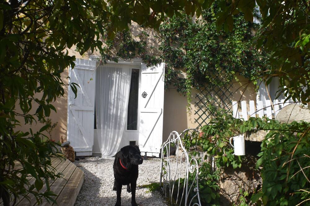 Photo of Outdoor in Puivert