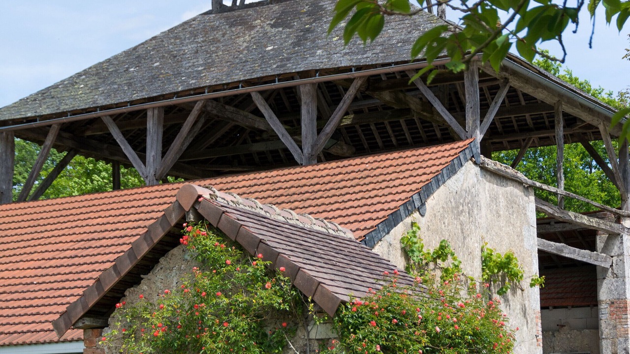 Photo of Outdoor in Thoree-les-Pins