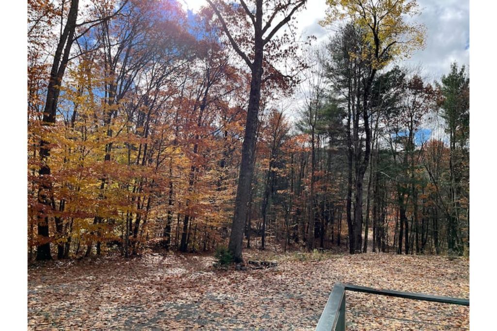 Photo of Outdoor in Afton