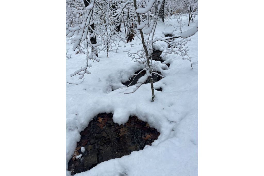 Photo of Outdoor in Afton