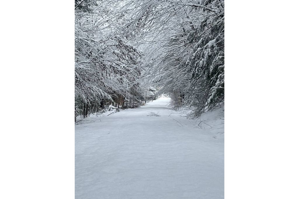 Photo of Others in Afton