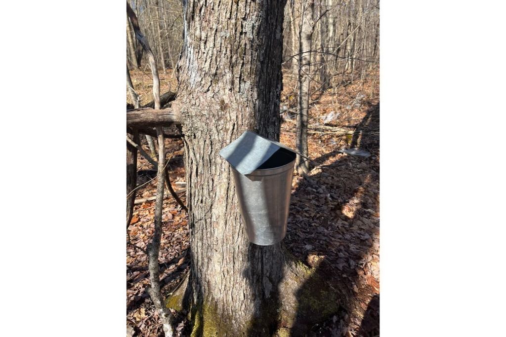 Photo of Others in Afton
