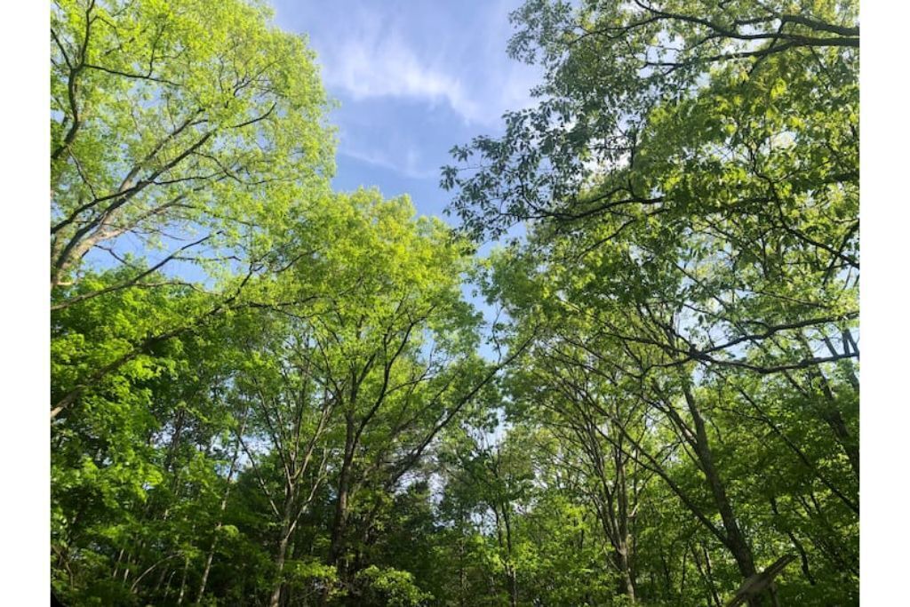Photo of Outdoor in Afton