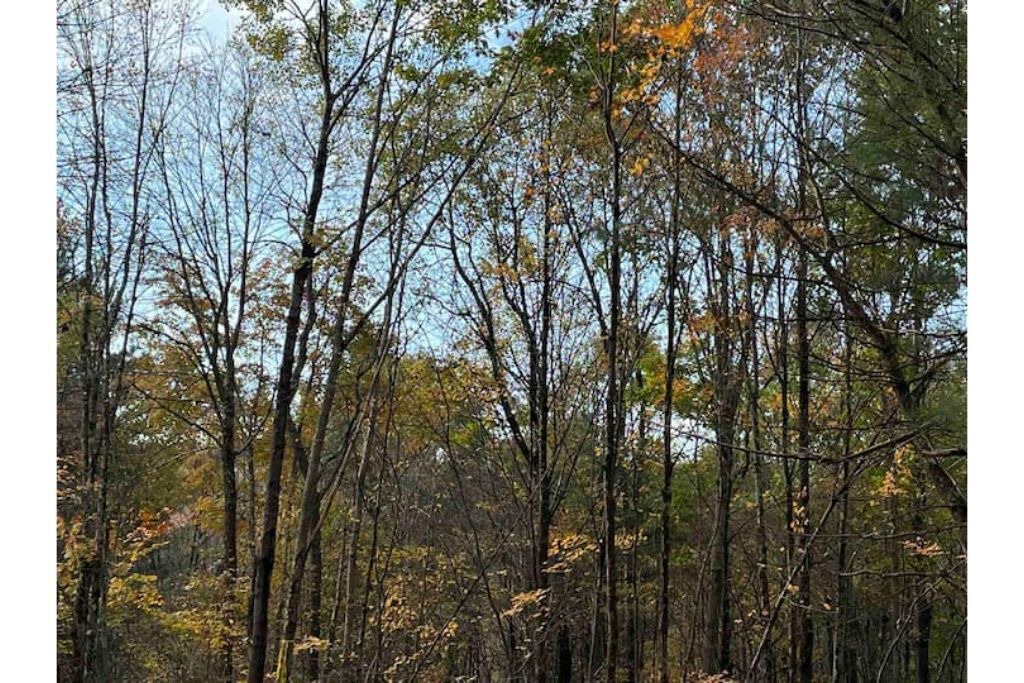 Photo of Outdoor in Afton