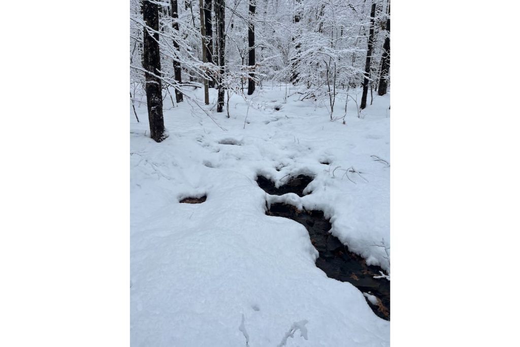 Photo of Others in Afton