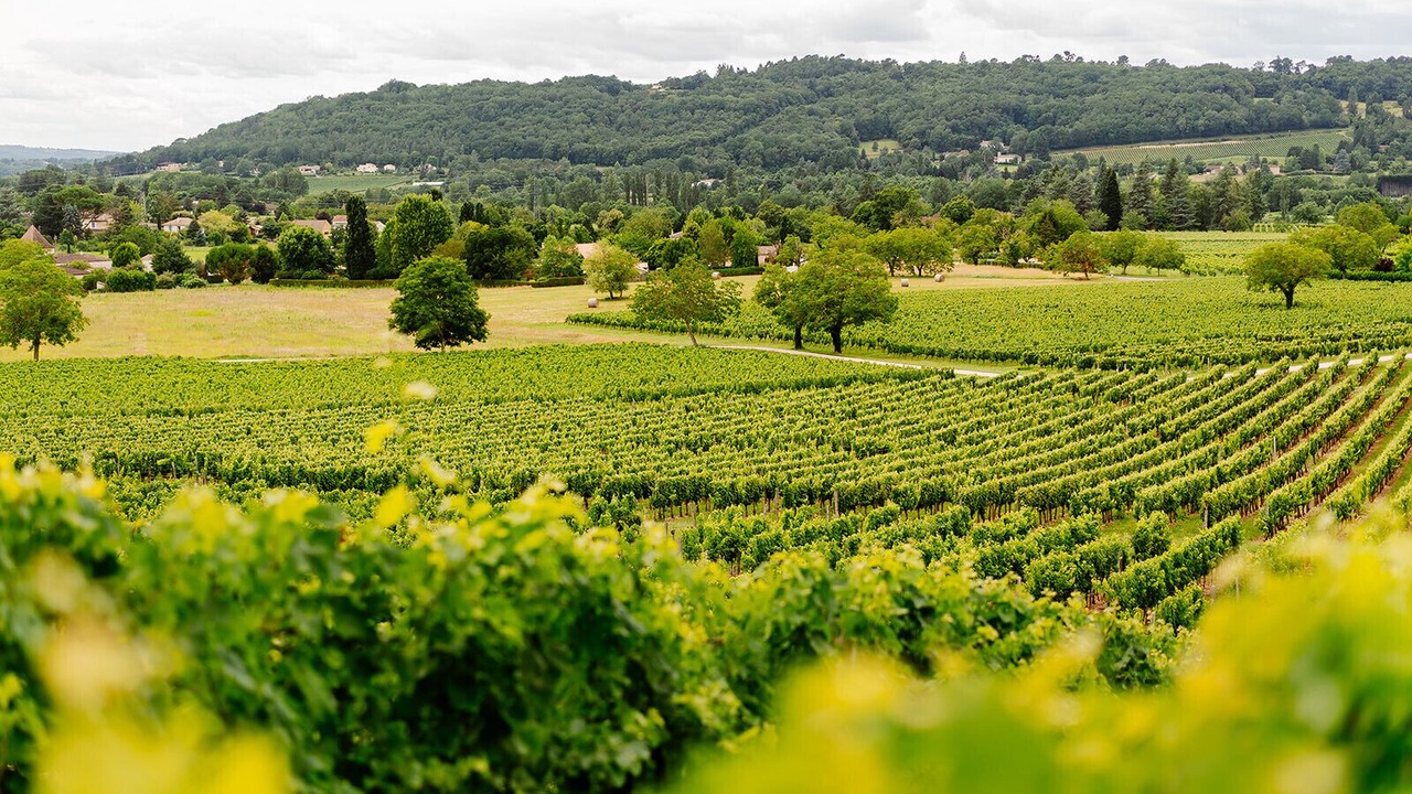 Photo of Outdoor in Prayssac