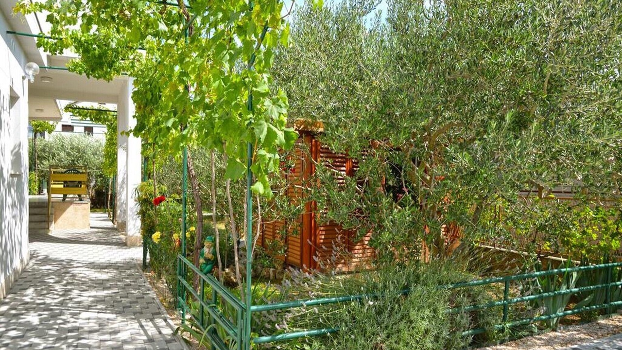 Photo of Outdoor in Betina