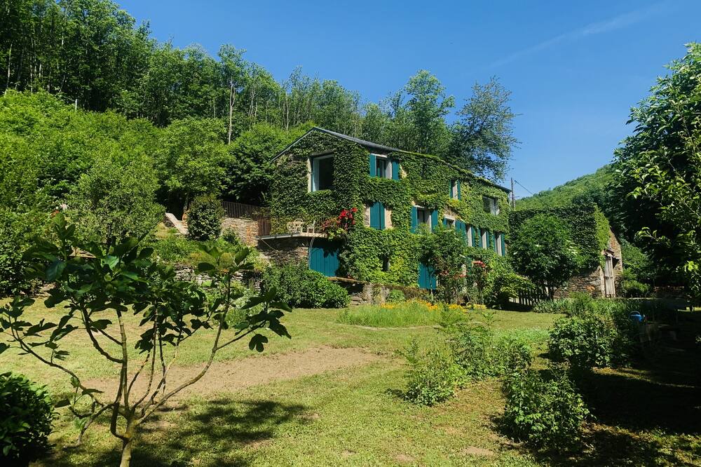 Photo of Outdoor in Caudebronde