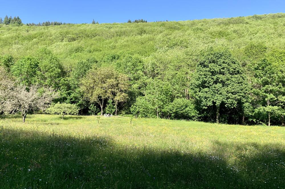 Photo of Outdoor in Caudebronde