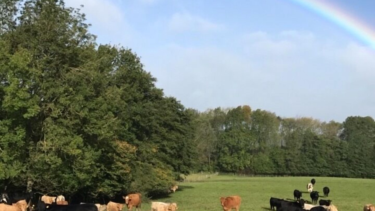 Photo of Others in Aldfield