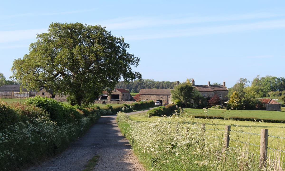 Photo of Others in Aldfield